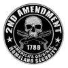 Patches Hot Leathers PPA5957 2nd Amendment America's Original Homeland Security Embroidered 9" X 9" Patch