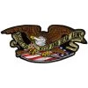 Hot Leathers PPA6110 Armed Eagle Patch 5" X 2" Patches