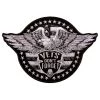Patches Hot Leathers PPA9797 Vets Don't Forget Eagle 12"x8" Patch