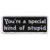 Patches Hot Leathers PPL9603 Youâre A Special Kind Of Stupid 4"x1" Patch