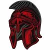 Patches Hot Leathers PPQ2129 12 Inch Roman Soldier Helmet Patch