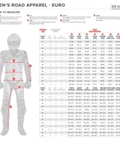 Alpinestars Men’s GP Plus R V3 Black Leather Jacket